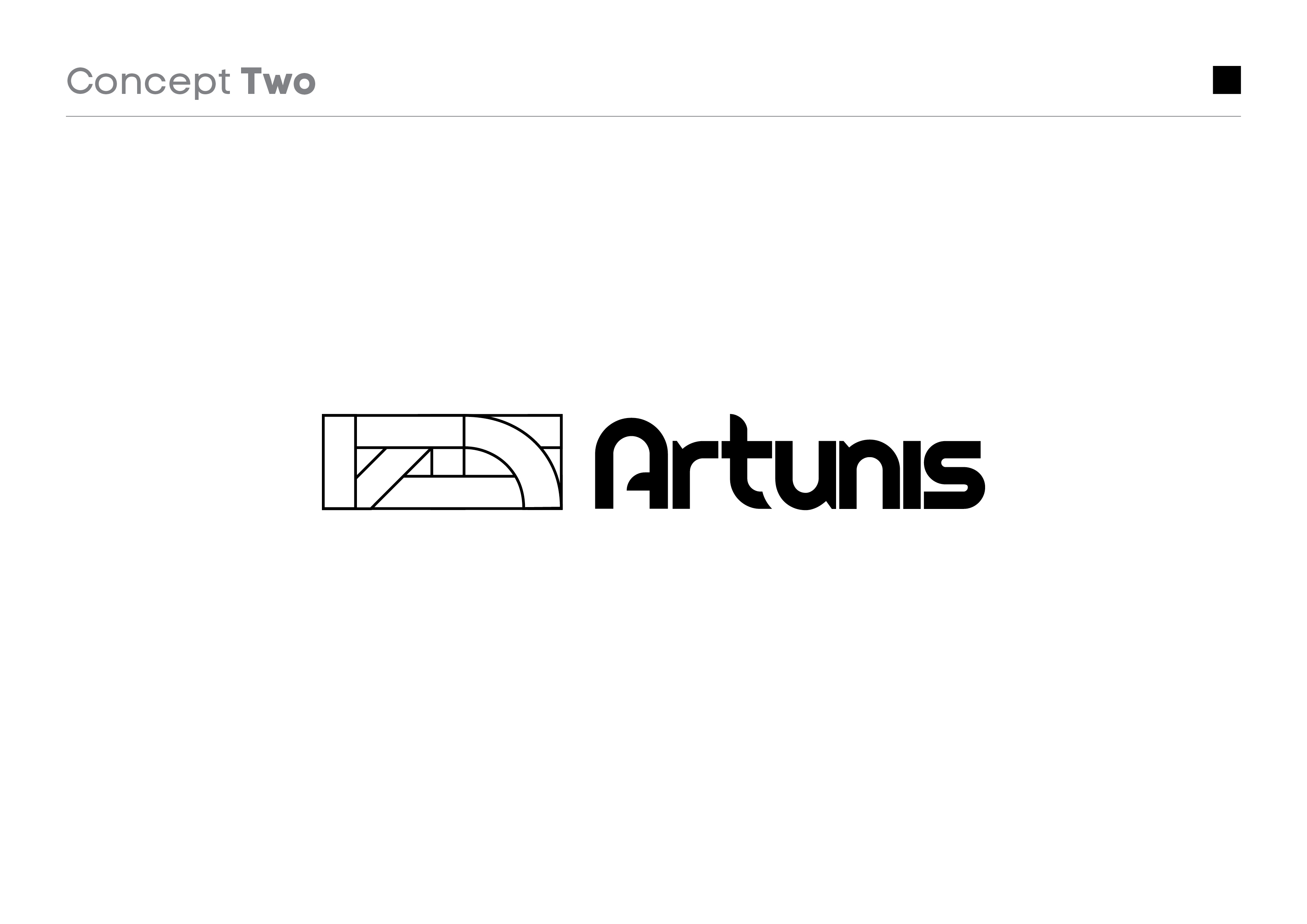 artunis-work-7